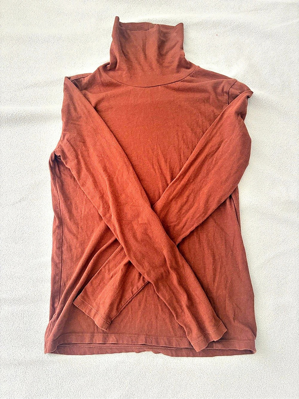 Everlane 100% cotton Turtleneck Long Sleeve Top burnt red size Small